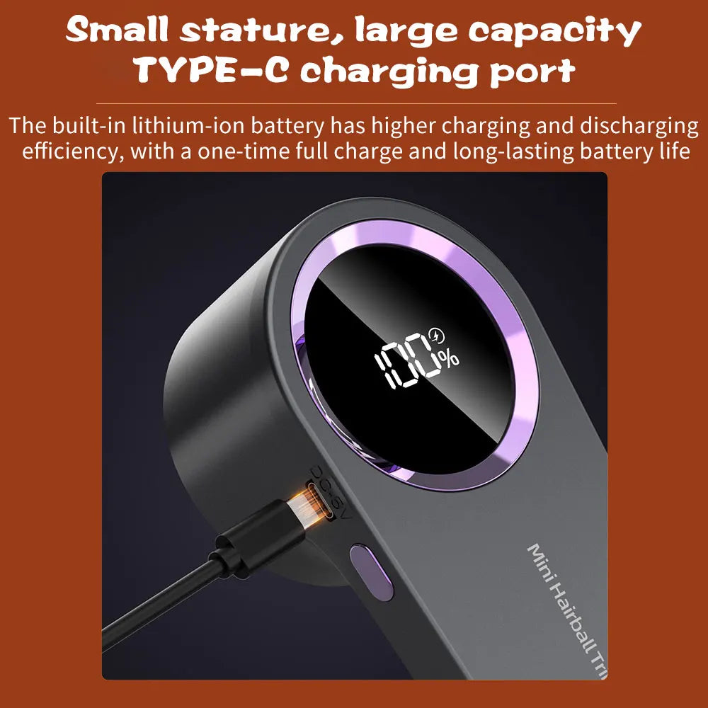 ELECTRIC LINT REMOVER
